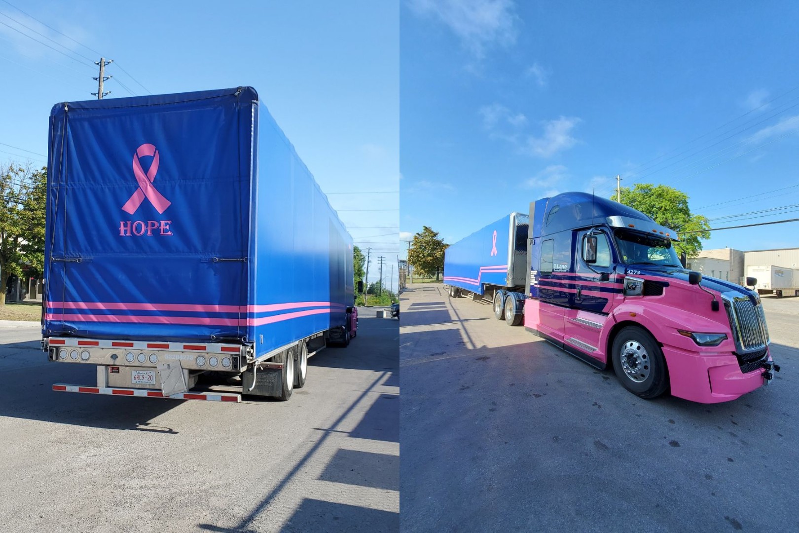 Rolling Forward, a Family Knit Together by a Pink Ribbon